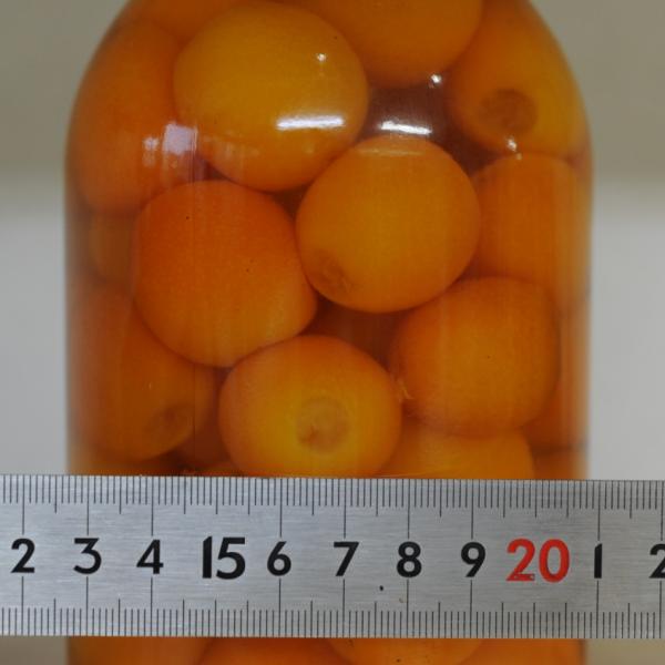 金柑シラップ漬け（種抜）Ｍ　４０−５０粒