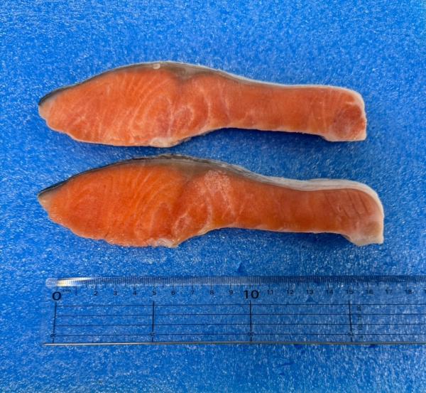 チリ産　定塩　銀鮭　切り身（センターカット）　70g　IQF