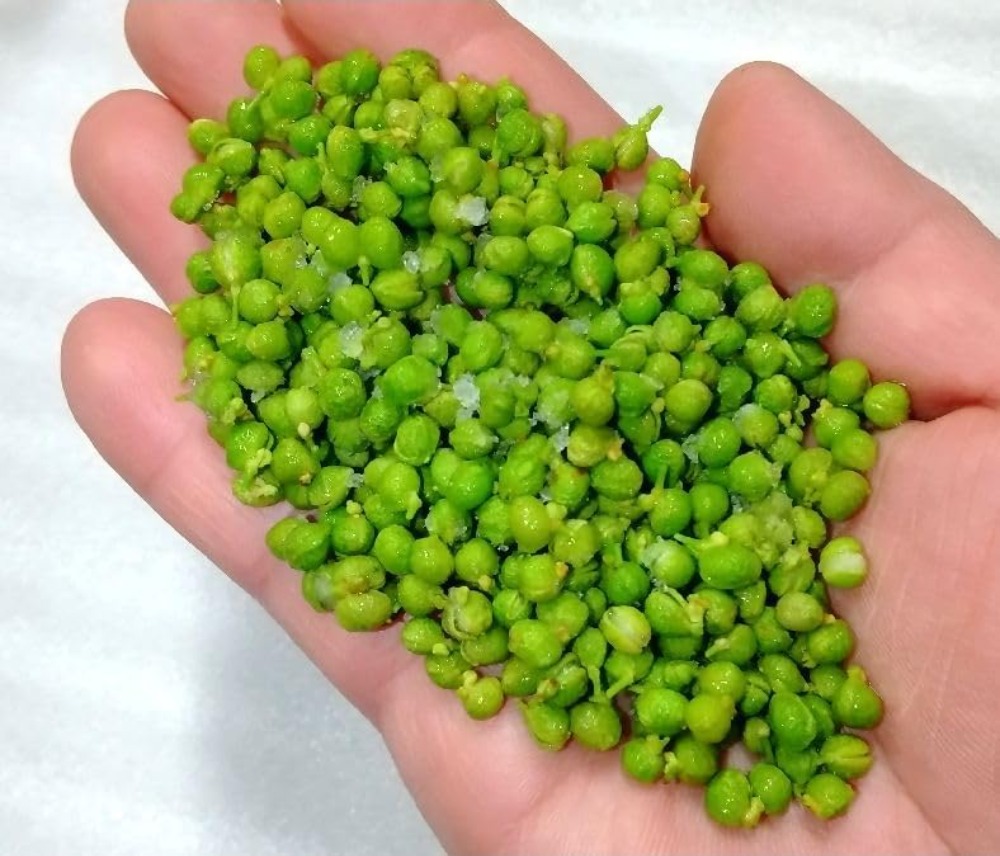 枝取り・アク抜き済　令和7年新物　冷凍実山椒　朝倉山椒500ｇ