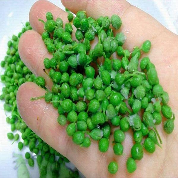 枝取り・アク抜き済　令和7年新物　冷凍実山椒　ぶどう山椒１kg