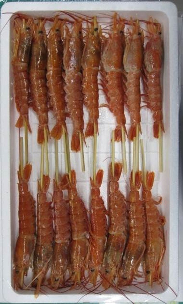 ���@�ԊC�V�@50g�@���݌ɗv�m�F