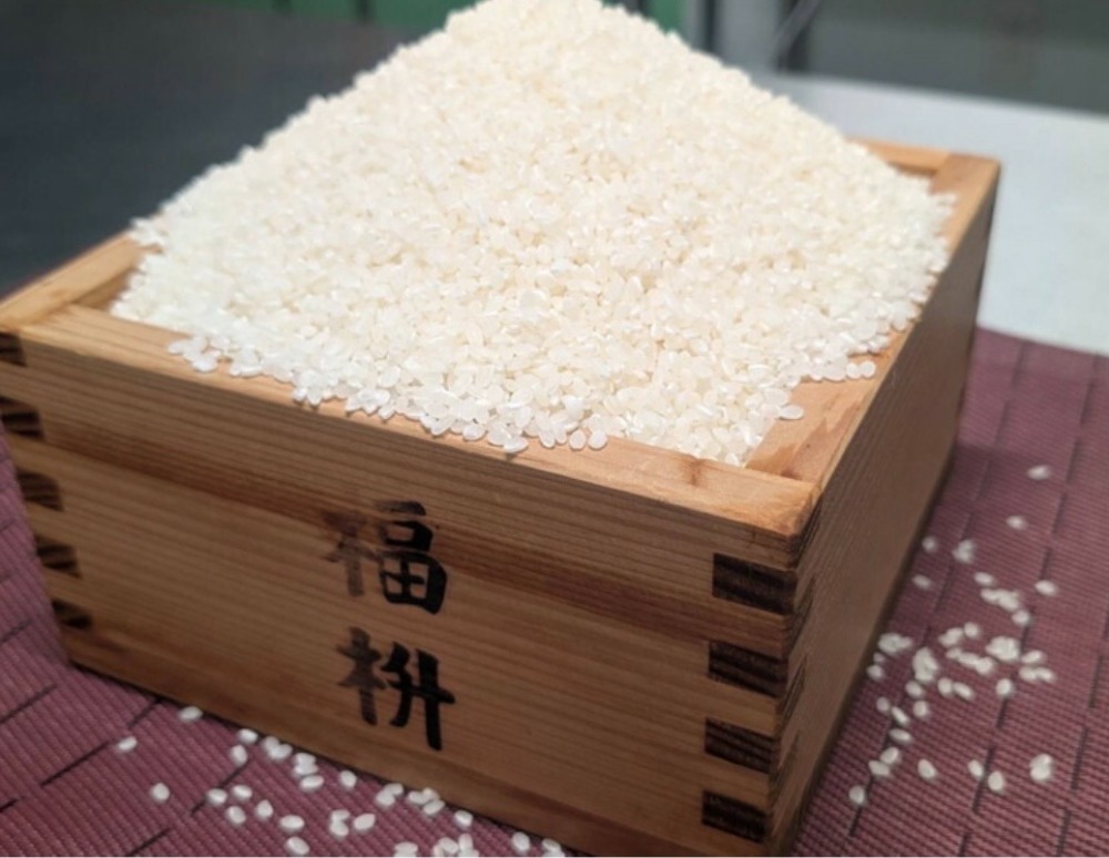 �y�����ʁz�ߘa7�N�x��錧�Y�����Ђ���Tkg