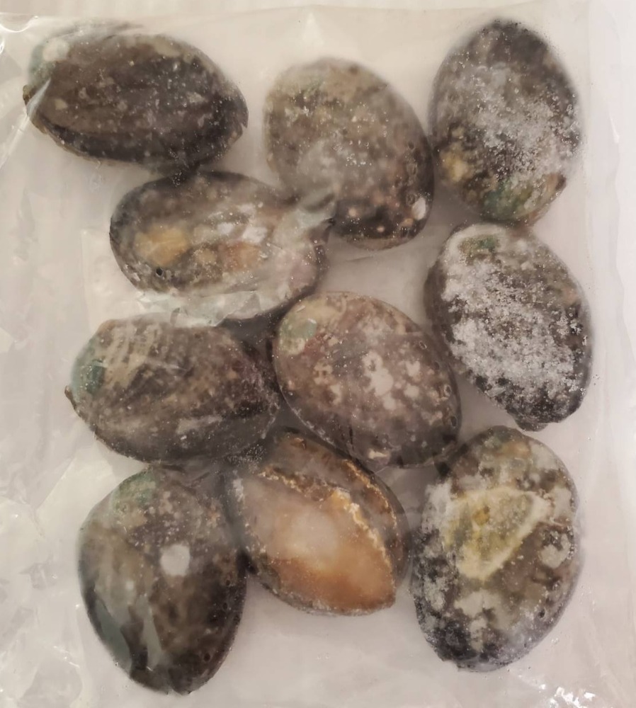 1個490円！　殻付き　酒蒸しあわび　鮑　10個入　1袋約1.2ｋｇ