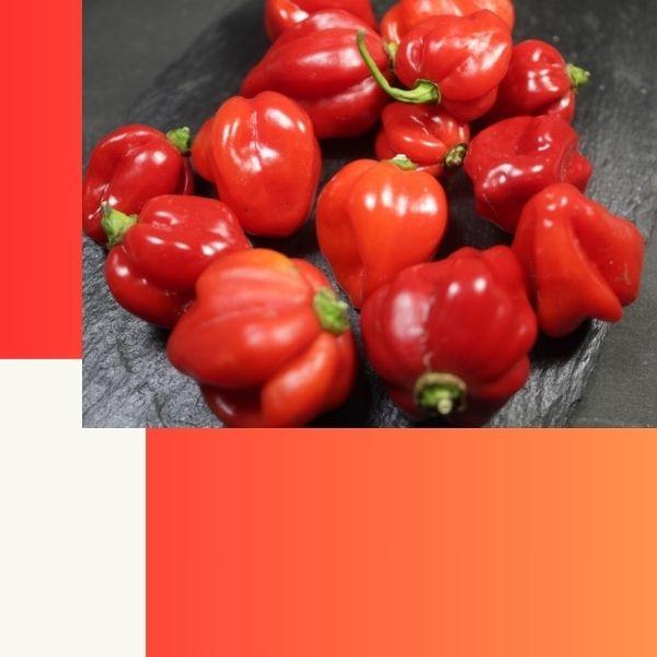 辛いだけではない！　ハバネロウインナー　●　