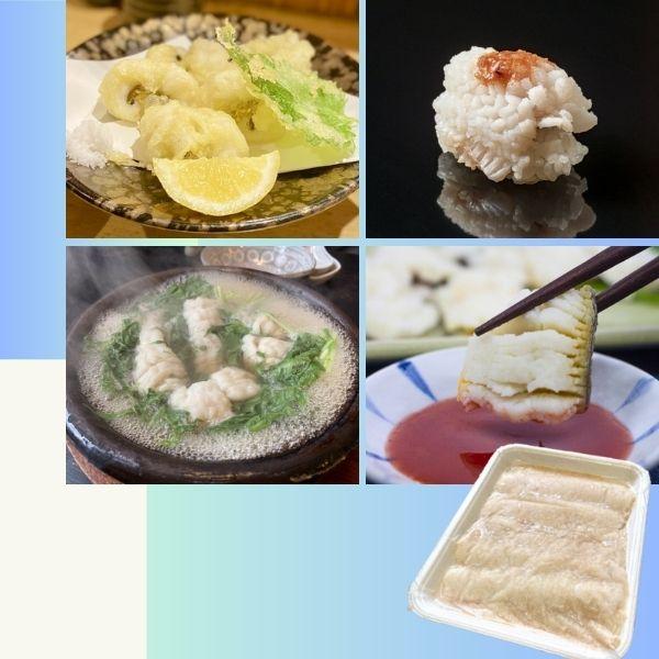 愛媛県産　活け〆骨切鱧　●　骨切りはも　骨切りハモ　骨切り鱧