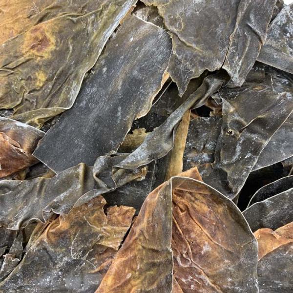 天然羅臼昆布の耳１ｋｇ無添加　らうす昆布　切り落とし　