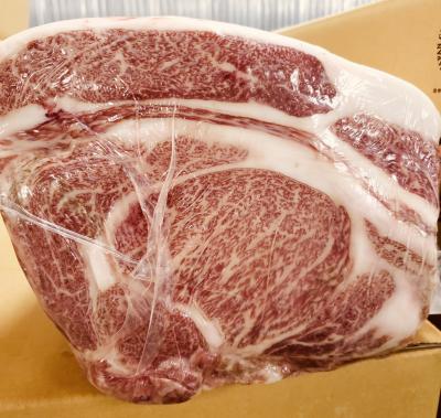 �y�����ʁz��B�Y�@���јa���@���u���[�X�@A�S