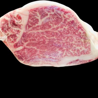 �y�����ʁz��B�Y�@A4�����@���јa���q��