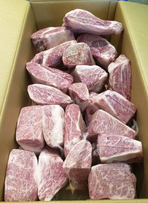 �y�����ʁz���јa���@�l�b�N���@�N���V�^�i�����[�X�j�X�y�b�NA4A5����