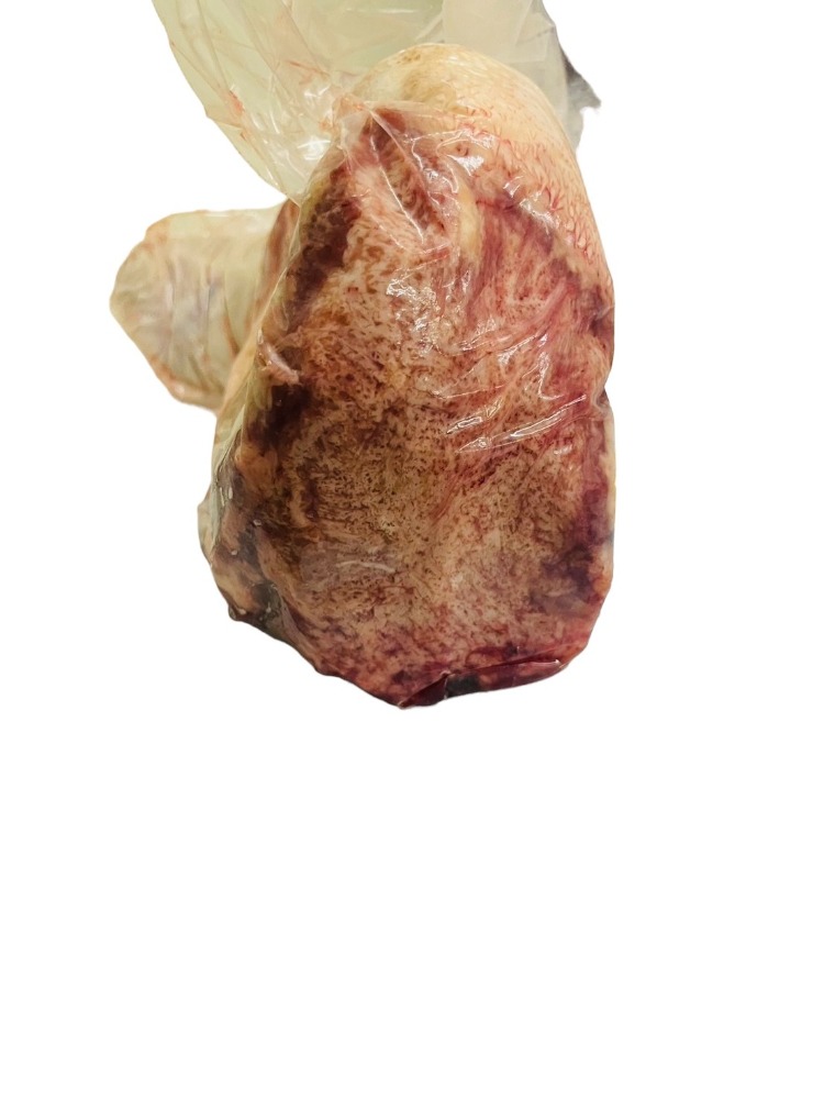 �y�����ʁz��B�Y�@���Y���^��