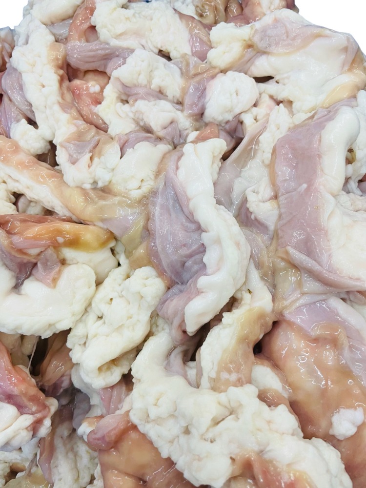 �y�����ʁz�V�N�@���јa�����t�������@�Ⓚ�@