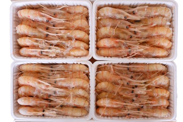 【刺身用】ボタンエビ　BS　ロシア産