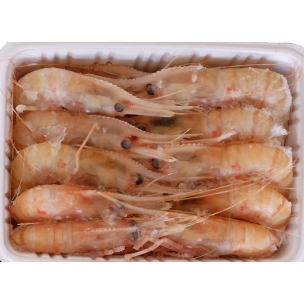 �y�����ʁz�y�h�g�p�z�{�^���G�r�@BS�@���V�A�Y