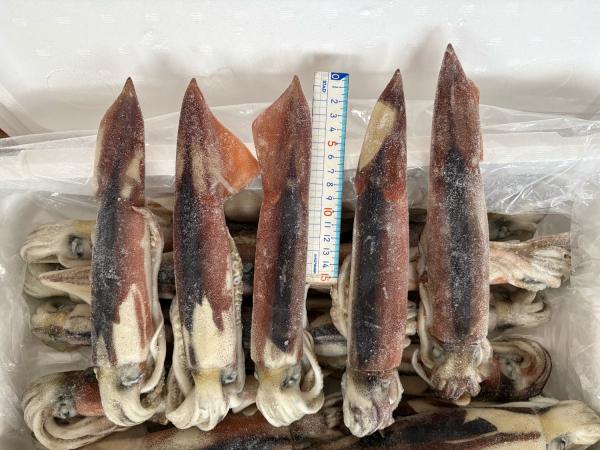 �y�����ʁz�X�Y�y���H�z�^����(�X�����C�J)�@IQF�@4kg/25��