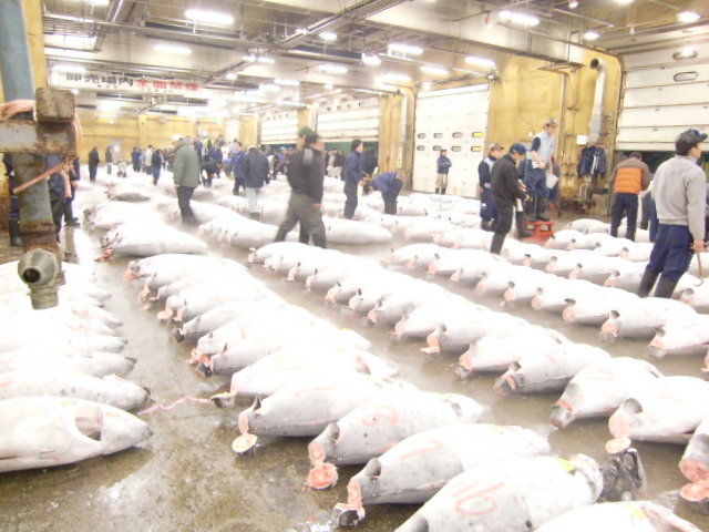 �X�܎ʐ^�E���S