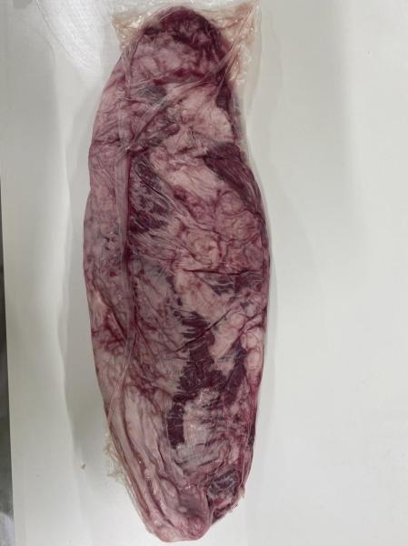 �y�����ʁz���јa���w�������x�J�C�m�~�y�Ⓚ�z