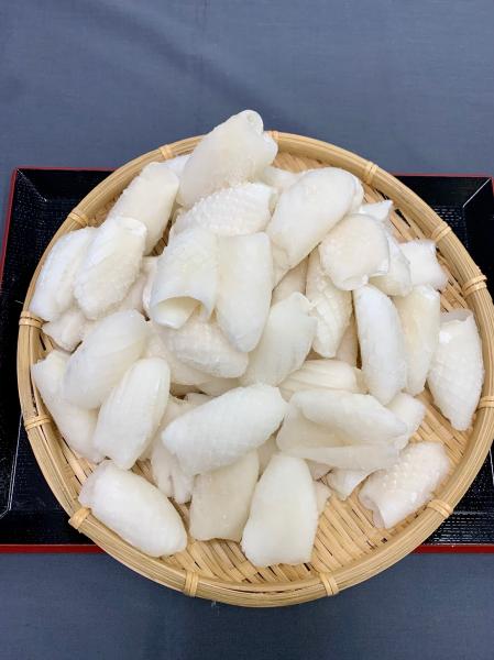 【ＩＱＦ】紋甲イカ　マツカサ　61/80