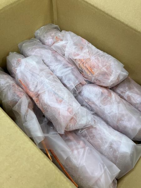 伊勢海老ボイル【ハーフカット済み】10尾入れ　特別セール！