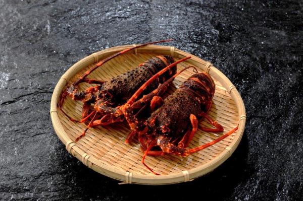 船内凍結！フランス産生冷伊勢海老　40尾／10kg