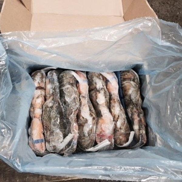 《HP製法‼》カナダ産　生冷オマールホール　400-450g　新価格！