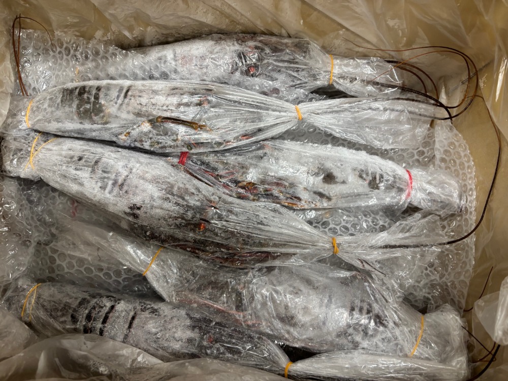 特価！【刺身用】国産　生冷伊勢海老　350/400g　5kg/箱