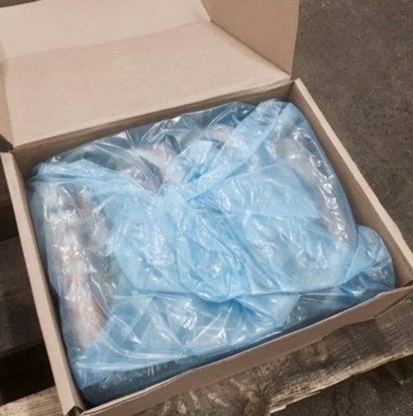 《HP製法‼》カナダ産　生冷オマールホール　350-400g　新価格！