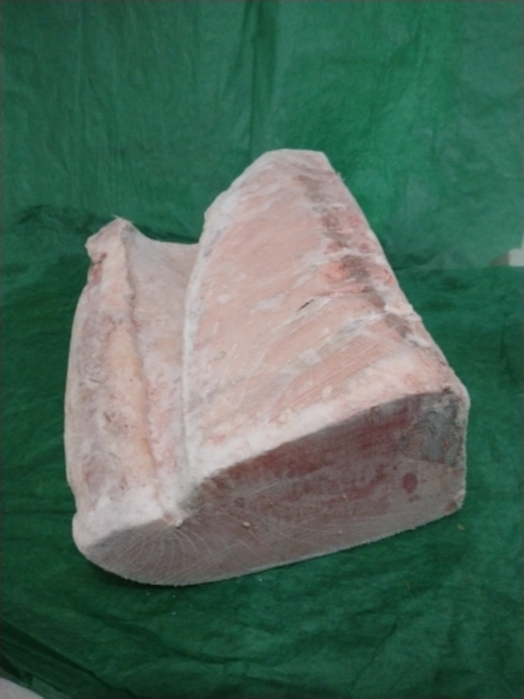 ケープ産天然小インド腹1丁腹厚