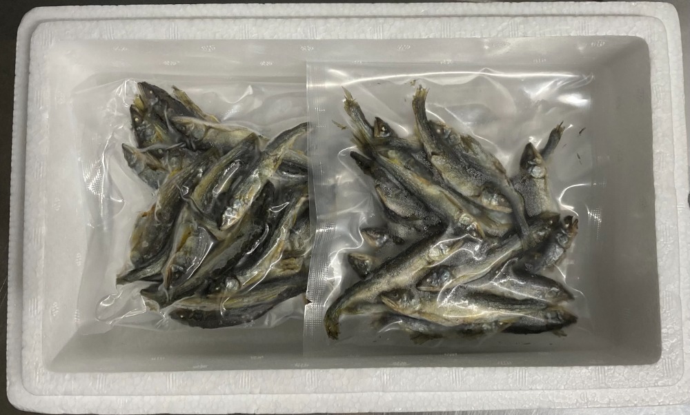 稚鮎の『うまみ干』無添加！　最高級の食べる煮干し！300ｇ