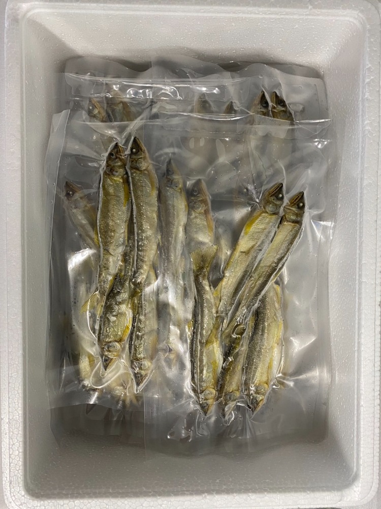 稚鮎の『うまみ干』無添加！　最高級の食べる煮干し！1kg