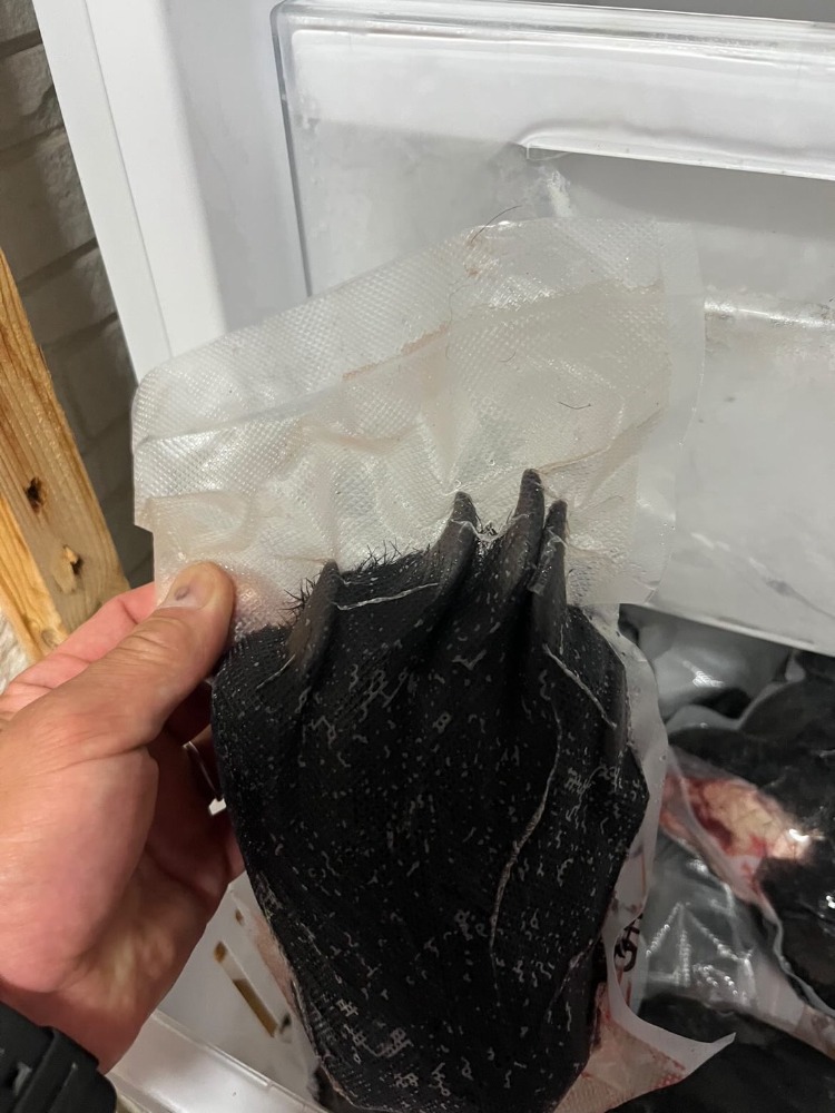 【穴熊狩り】熊の手又は足　未加工