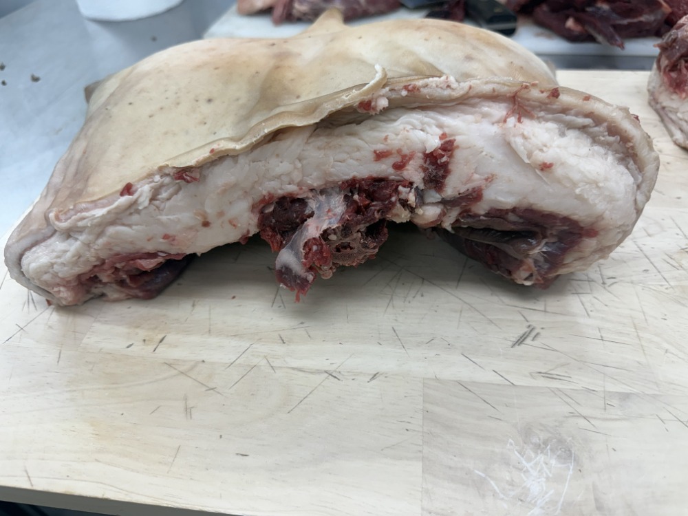 【穴熊】ジビエキング穴熊肉　最高の脂タップリ