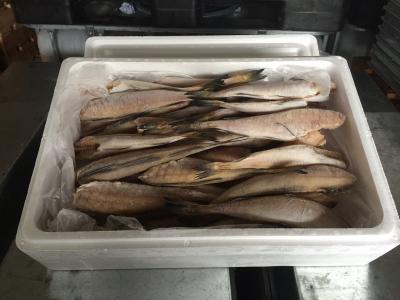 �w���ˍ`�Y�x���������@�L�@60〜100g