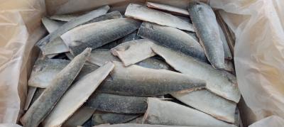 �������΃t�B���@110����@(�����Y)