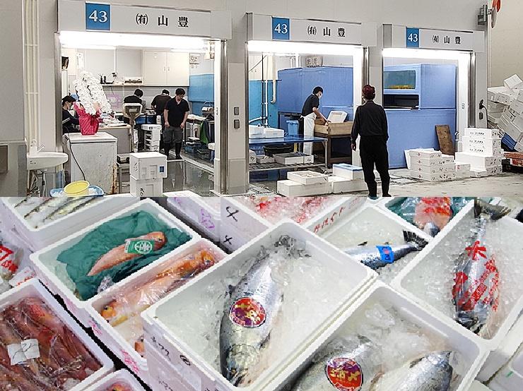 �L����� �R�L �\�����[�V����1