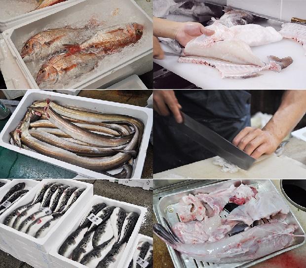 �L����� �R�L �\�����[�V����2