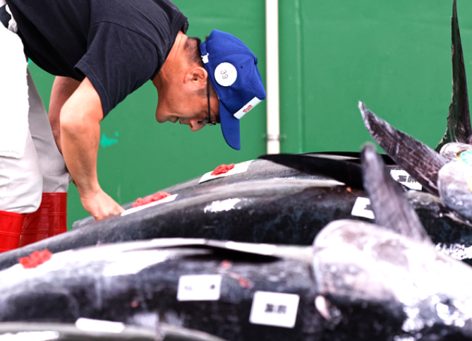 ������Ћ��� �\�����[�V����1