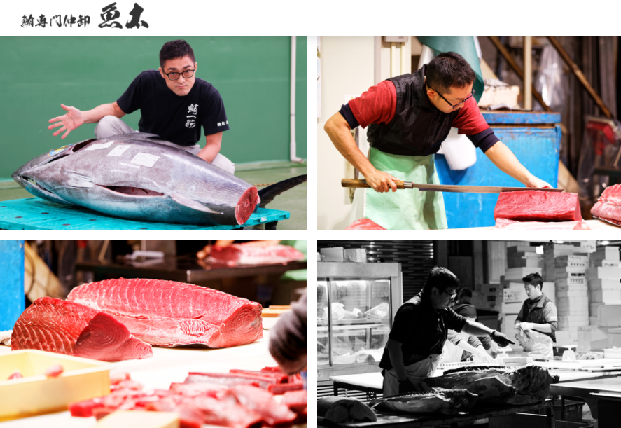 ������Ћ��� �\�����[�V����2