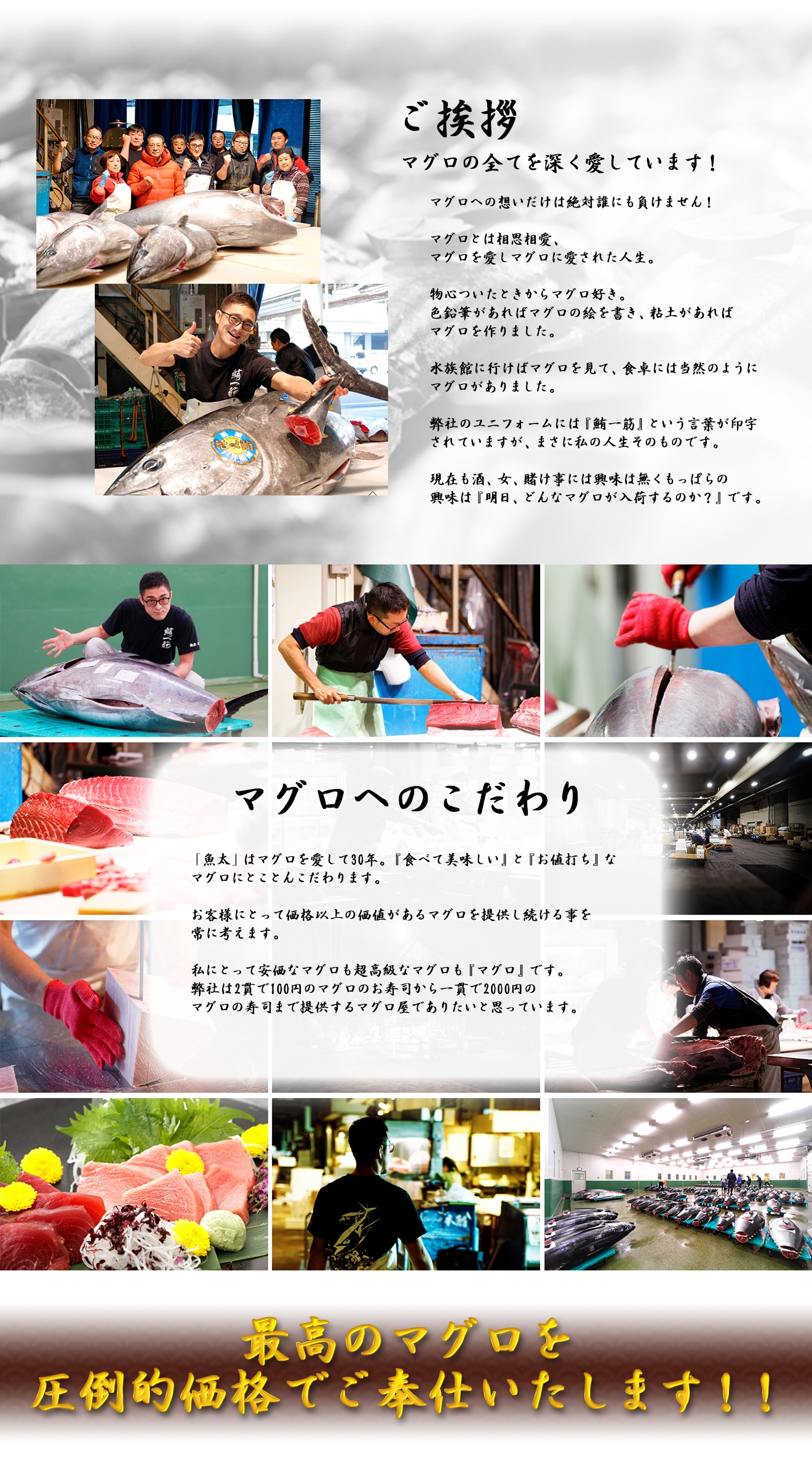 �{���̃}�O�������|�I���i�ł���d�������܂��I�I