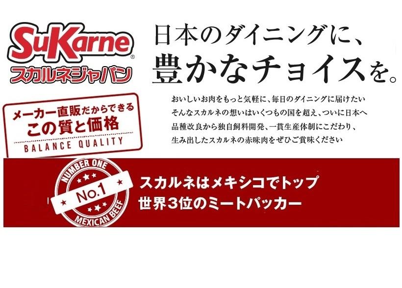 �X�J���l�W���p��������� �\�����[�V����1