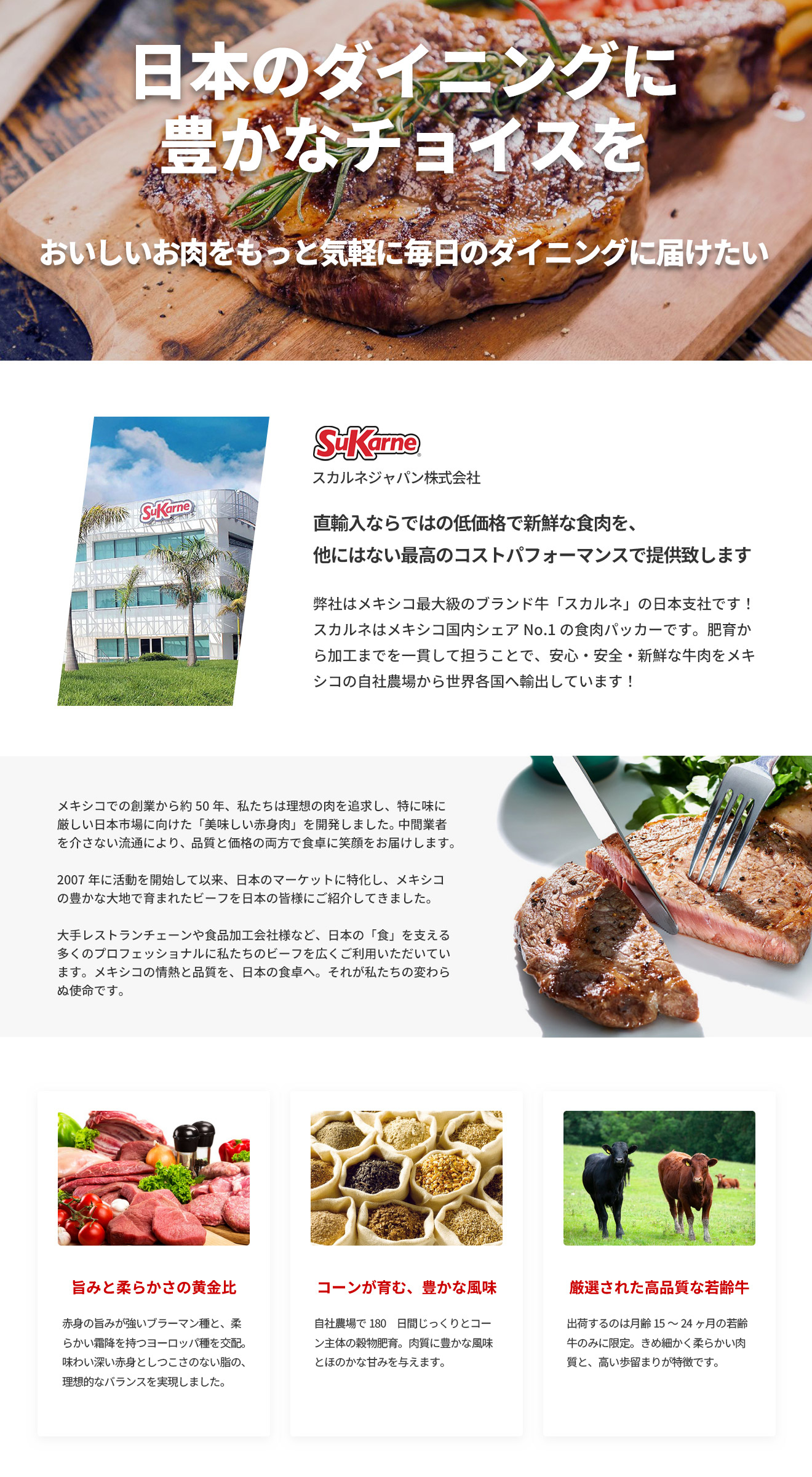 �X�J���l�W���p���������