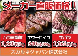 �X�J���l�W���p���������