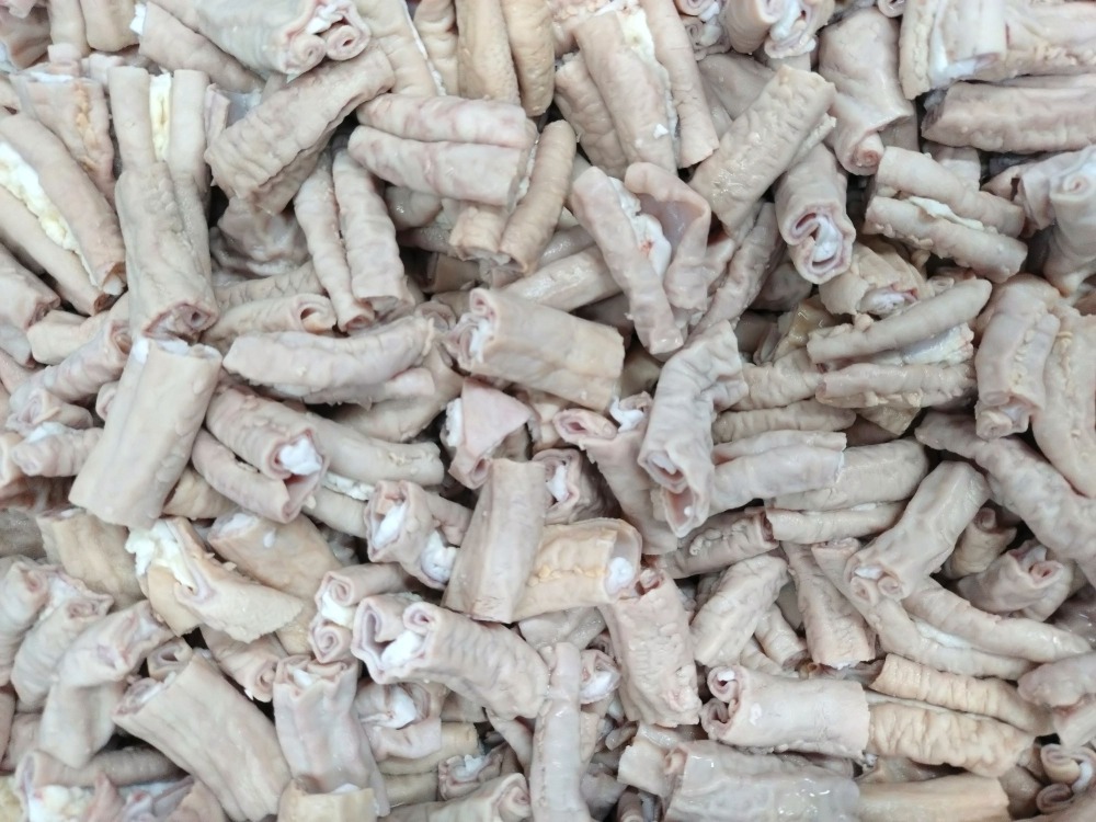 【国産・生冷】豚小腸（ボイル済・3.5センチカット済）