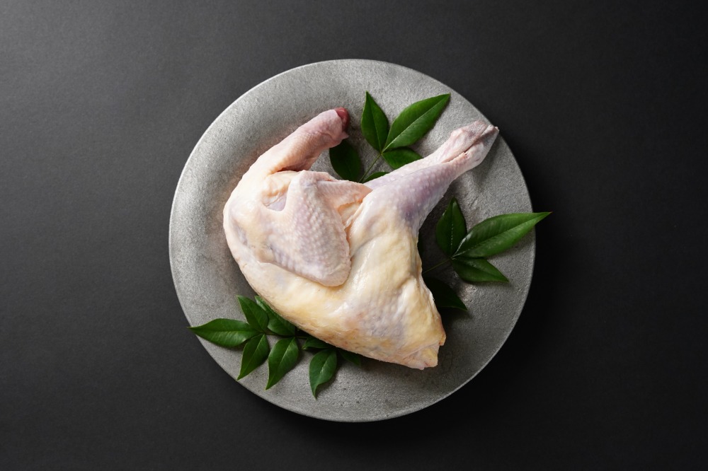 みやざき霧島山麓雉　丸鳥（中抜き1羽・ガラ付き）800g~1200g