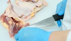 �X�܎ʐ^�E���S