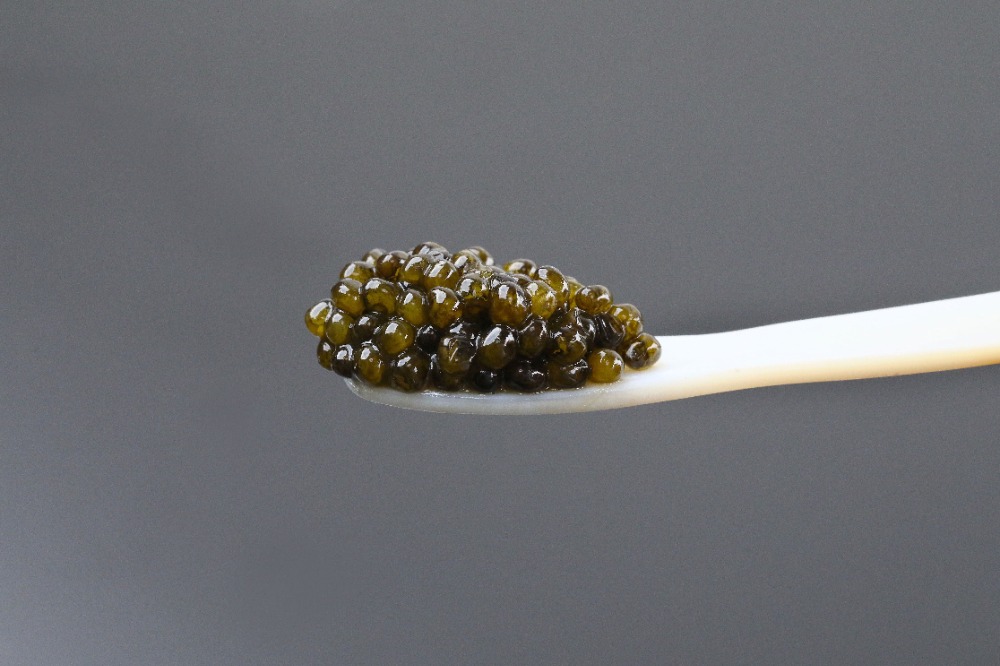 純度100％　チョウザメキャビア　30gx3個