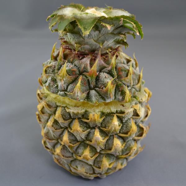 くりぬきフルーツシャーベット【まるごとパイン】80㎖　8入