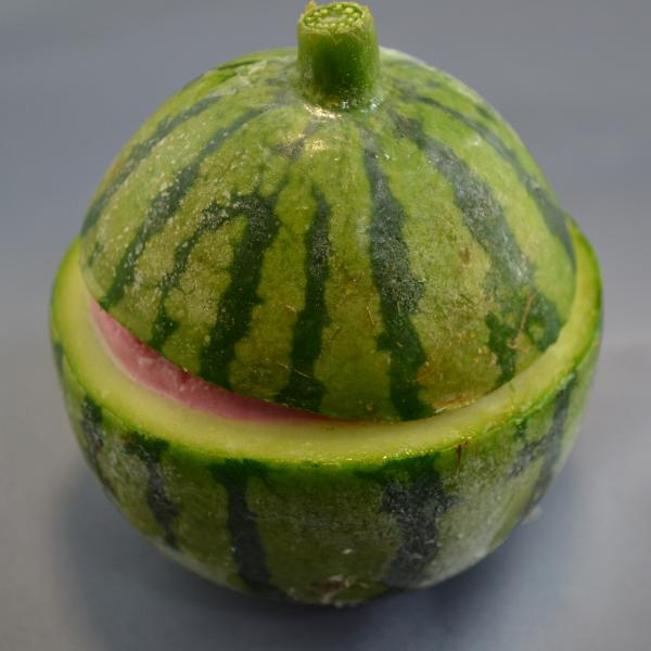 くりぬきフルーツシャーベット【まるごとすいか】120㎖　12入