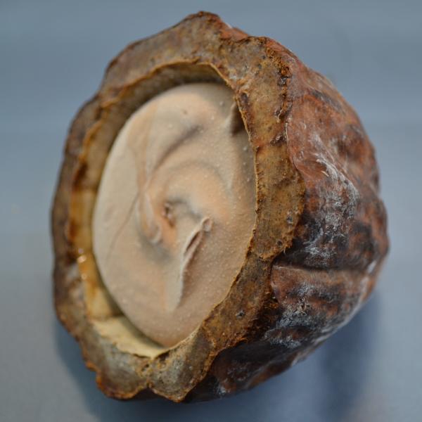 くりぬきフルーツシャーベット【カカオショコラ】80㎖　18入