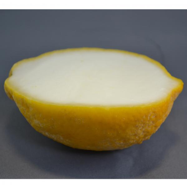 くりぬきフルーツシャーベット【はんぶんレモン】40㎖　45入