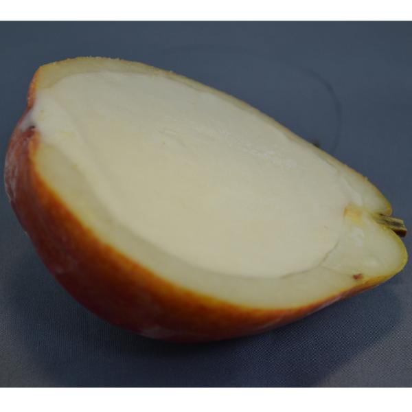 くりぬきフルーツシャーベット【はんぶん洋梨】60㎖　30入